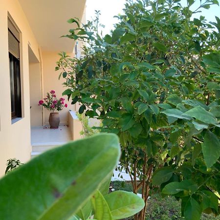 Antonis Chania City Family House Εξωτερικό φωτογραφία